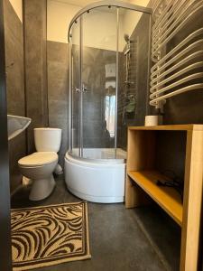 亚列姆切Girske Povitria 2的带淋浴、卫生间和盥洗盆的浴室