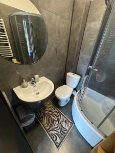 亚列姆切Girske Povitria 2的一间带水槽、卫生间和镜子的浴室