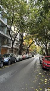 布宜诺斯艾利斯2 ambientes moderno y muy bien ubicado的路边有汽车的街道