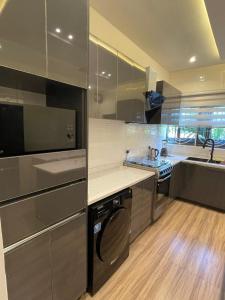 EjisuCalm Luxurious Home的厨房配有不锈钢用具和水槽