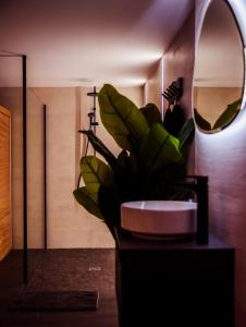 Saint-Martin-des-Entrées"l'Escape room" - love room atypique的浴室设有水槽、镜子和植物
