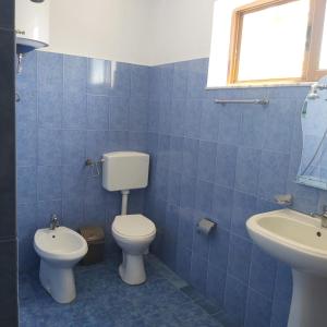 波格拉德茨Guest House Pogradeci的蓝色瓷砖浴室设有卫生间和水槽