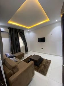 阿布贾lnfinity Luxury Apartment的带沙发和平面电视的客厅