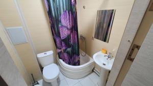 KarmanaFAYZ HOTEL的一间带卫生间和淋浴帘的浴室