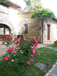 阿西西All'Ombra di San Damiano的一座花园,在一座建筑前有粉红色玫瑰