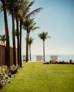 布希奥斯A Concept Hotel & Spa的棕榈树和海洋的公园