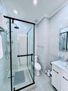 卡拉甘达Hotel Bereket Karaganda的一间带玻璃淋浴和卫生间的浴室