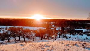 AizkraukleNidra的冬季的日落,在有树木的雪地里