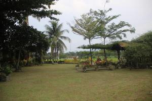 武吉拉旺LANDBOW GREEN VILLAGE Homestay Trekking & Village Tour的一个带遮阳伞和一些棕榈树的花园