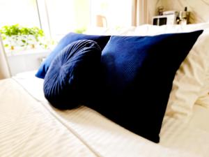 华沙J&W Apartments Grójecka Glam Flat的床上的黑蓝色枕头