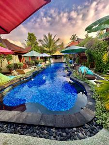 吉利阿尔Sunny Rose Bungalows Gili Air的度假村内的一个蓝色海水游泳池
