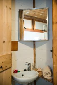 克拉佛斯Adelaide Hills Camellia Cottage Wifi的一间带水槽和镜子的浴室