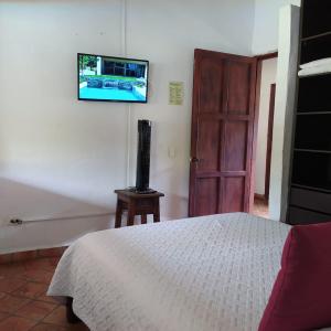 圣希尔Hostal Sueño Real Campestre的卧室配有一张床和壁挂式平面电视。