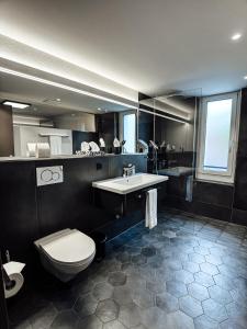 温特图尔Boutique Hotel Sonne Seuzach的浴室配有白色卫生间和盥洗盆。