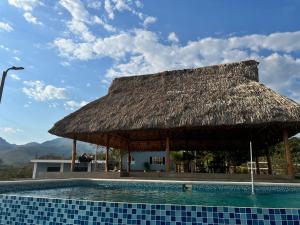 JucuaránRancho Agua Fria的小屋,设有茅草屋顶游泳池