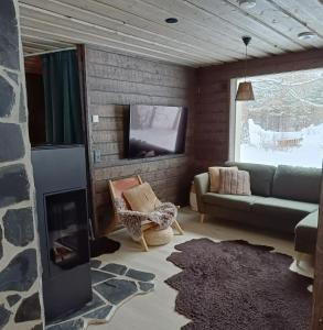 罗瓦涅米Lapland Hygge的带沙发和电视的客厅
