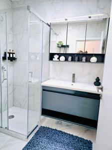 波尔托罗Luxury apartment magical Portorose的一间带水槽和淋浴的浴室