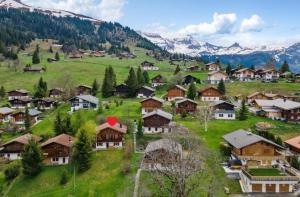 阿克斯普Chalet Specht, gemütliches Ferienchalet auf der Axalp的山中的一个村庄,有房子和树木