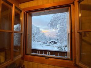 阿克斯普Chalet Specht, gemütliches Ferienchalet auf der Axalp的窗户享有雪覆盖的庭院的景致。