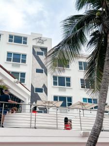 圣胡安The Tryst Beachfront Hotel的一座白色的建筑,前面有棕榈树