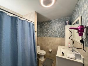 布鲁克林3 bedrooms in Modern Brooklyn home, Close to J train的浴室设有卫生间和蓝色的浴帘。