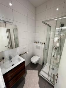 布鲁塞尔Cozy South-Up的浴室配有卫生间、盥洗盆和淋浴。