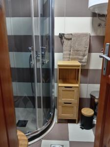 卡鲁德杰尔斯科巴尔Simic Apartmani Tara的带淋浴的浴室和木制橱柜。