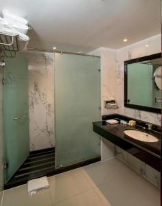 沙姆沙伊赫沙姆沙伊赫塞拉酒店的带淋浴、盥洗盆和镜子的浴室