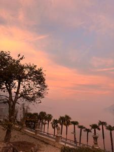 坎诺比奥Ca Meison的日落前的一组棕榈树