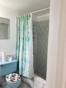KupuisCockpit County Mountain Room的带淋浴帘和卫生间的浴室