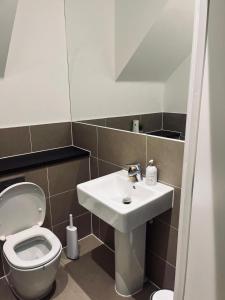 切姆Immaculate 4-Bed House in Chelmsford的浴室配有白色水槽和卫生间。