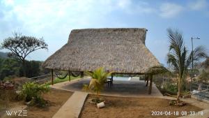 JucuaránRancho Agua Fria的茅草屋顶和棕榈树小屋