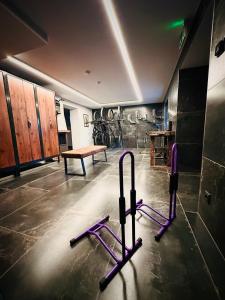 萨尔巴赫PHILSON Apartments的健身房配有紫色健身器材和长凳