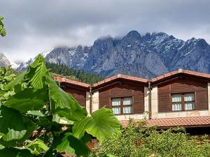 图里恩奥Picos de Europa Suites and Rooms的山地木屋