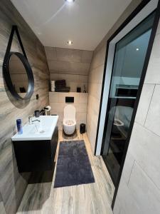 代尔夫宰尔Het Eiland的一间带卫生间、水槽和镜子的浴室