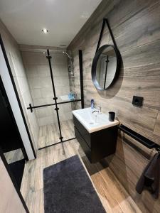 代尔夫宰尔Het Eiland的一间带水槽和镜子的浴室