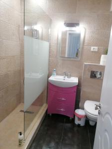 北马马亚-讷沃达里Korallia Penthouse的一间带紫色水槽和卫生间的浴室