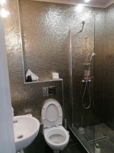 北马马亚-讷沃达里Korallia Penthouse的带淋浴、卫生间和盥洗盆的浴室