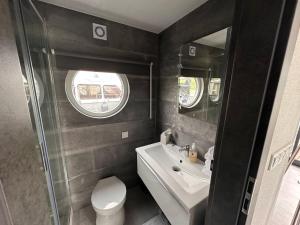 兹瓦茨勒伊斯Cozy Houseboat in Zwartsluis的一间带卫生间、水槽和镜子的浴室