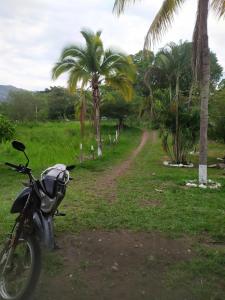 GiganteClandestino Hostal的棕榈树环绕的土路旁的摩托车