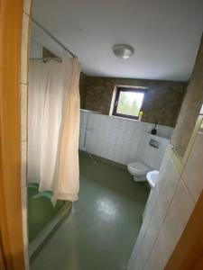 GrojecGrojecka Ostoja的带淋浴和卫生间的浴室以及窗户。