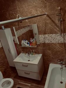 布鲁塞尔Rise Lodge的一间带水槽、卫生间和镜子的浴室