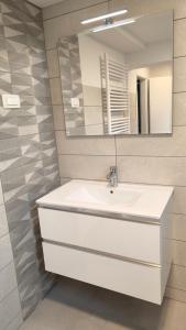 布莱德Sava river house - apartments的浴室设有白色水槽和镜子