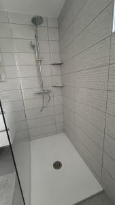 布莱德Sava river house - apartments的浴室里设有玻璃门淋浴