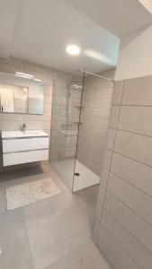 布莱德Sava river house - apartments的一间带玻璃淋浴和水槽的浴室