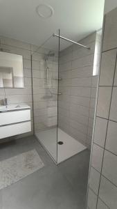 布莱德Sava river house - apartments的一间带玻璃淋浴和水槽的浴室