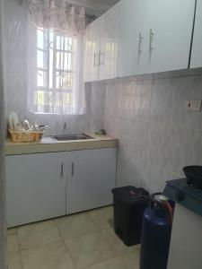 内罗毕Novel 1-Bedroom in Madaraka Estate, Nairobi的厨房配有白色橱柜、水槽和窗户。