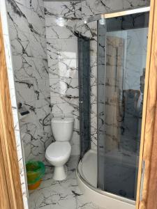 维斯瓦Pokoje i apartamenty Aga Centrum的一间带卫生间和淋浴的浴室