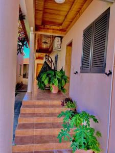卢班戈Mapunda House的通往种植盆栽植物的房子的楼梯