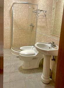卢班戈Mapunda House的浴室配有卫生间、盥洗盆和淋浴。
